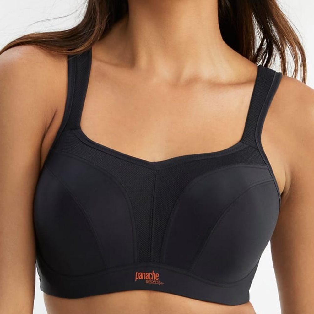 NWOT PANCHE High Impact Underwire‎ Sports Bra